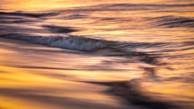 marek-piwnicki-1WUc-S7Dehk-unsplash marek-piwnicki-1WUc-S7Dehk-unsplash
